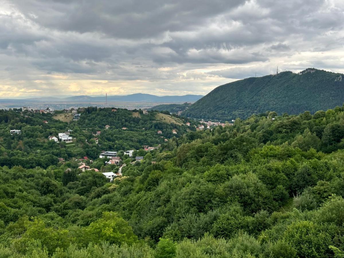 #3 Coroni Seasons Apart Brasov Bagian luar foto